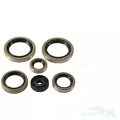 Motordichtungen komplett Vertex 822370