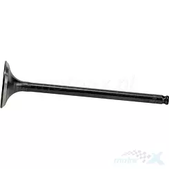 Auslassventil, Stahl, Vertex 8400020-1