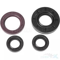 Athena Motor Dichtungs-Kit komplett, Aprilia RS4 125 11-16 / Derbi GPR, Mulhacen, Senda, Terra 125 07-18