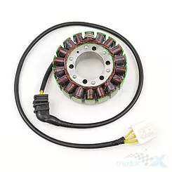 Stator des Anlassers, Stator des Generators, Electrosport ESG531