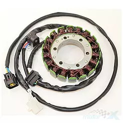 Stator, Lichtmaschinenstator, Electrosport ESG310