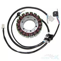 Stator, Lichtmaschinenstator, Electrosport ESG079