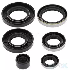 Motordichtungen komplett Vertex 822281