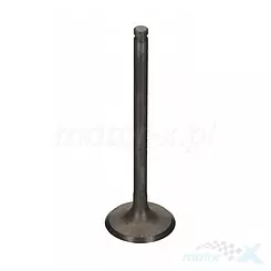 Einlassventil, Stahl, 23.8x5.45x64.5mm Bronco AU-09189I