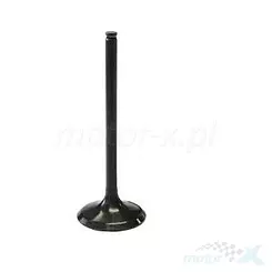 Einlassventil, Stahl, Vertex 8400004-2