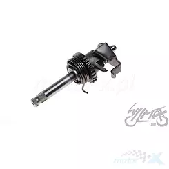 Kickstarter Shineray XY150-17