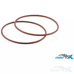Drehmomentkorrektor Dichtungen 39x15mm Malossi