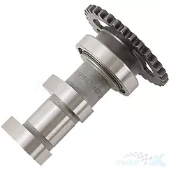 Nockenwelle, Ansaugung, Stufe 2, Hot Cams HC 2087-2IN