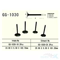 Auslassventil Vesrah GG-1030-EX