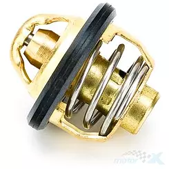 Thermostat UM Renegade Classic 300