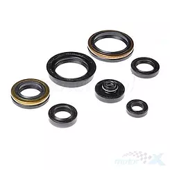 Motordichtungen Satz Bearing Worx OSK70266 (822266)