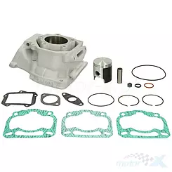 Zylinder komplett 54,00 mm Nicasil Power Force Aprilia AF1 / Red Rose / SX, Rotax 122 / 123