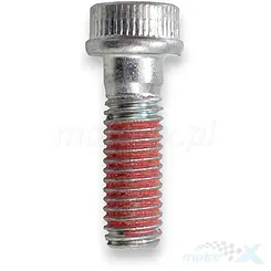 Schraube M8x25mm QJMotor 08012P06000J