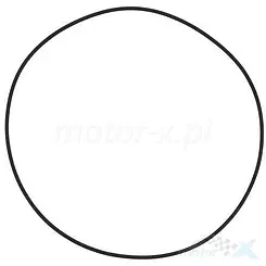 Dichtung Motordeckel links Vertex 817819