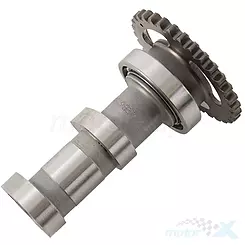 Nockenwelle, Ansaugung, Stufe 1, Hot Cams HC 2266-1IN