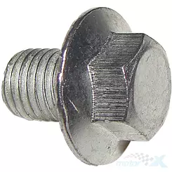 Spannschraube für Steuerkette  139QMB/QMA (GY6 50) 4T