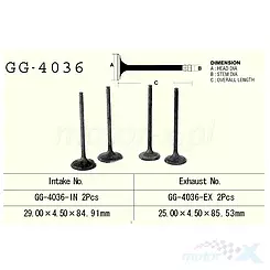 VESRAH - EINLASSVENTIL  GG-4036-IN