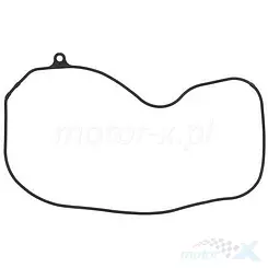 Linke Motordeckeldichtung Vertex 817796