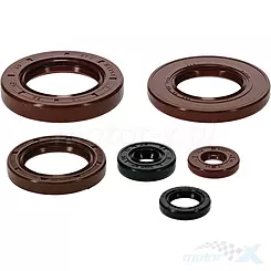 Motordichtungen Komplettset Vertex 822390