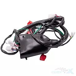 Kabelbaum für ATV STORM
