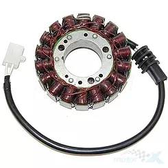 Stator des Anlassers, Stator des Generators, Electrosport ESG790