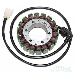 Stator, Lichtmaschinenstator, Electrosport ESG081