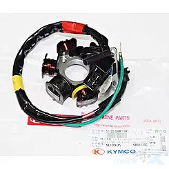 Stator Zündspule, Lichtmaschinenstator, Kymco ZX 50 2T