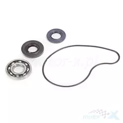 Bearing Worx Wasserpumpen-Reparaturset WMK90004 (WPK0017)
