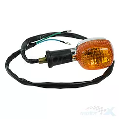 Linker hinterer Blinker ATV Bashan BS250S-5
