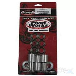Reparatursatz für Schwingenlagerung, Pivot Works PWLKY02021