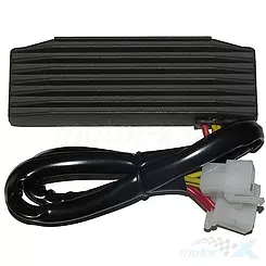 Spannungsregler Electrosport ESR750