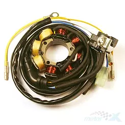 Stator, Lichtmaschinenstator, Lichtmaschinenwicklung, mit Beleuchtung, 60W, Electrosport HONDA CRF 250R (04-09), CRF 450R (05-08)