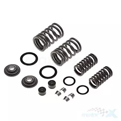 Ventilfedern-Set WM Motor