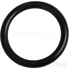 O-Ring 45x5.5mm Kraftstoffstandsensor Router WS50