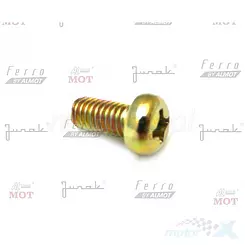 Schraube (Schraube) m6x12 Befestigung Sicherung Lager der Hauptwelle des Getriebes Junak RS125