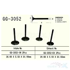 VESRAH - AUSLASSVENTIL  GG-3052-EX TITAN LT-R450 06-14R.