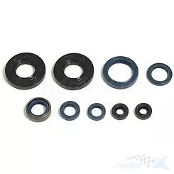 Motor Dichtungen komplett, Athena P400220400126