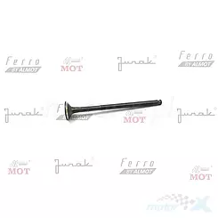 Auspuffventil (rs125 pro)