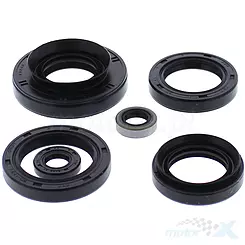 Motordichtungen komplett Satz Vertex 822881