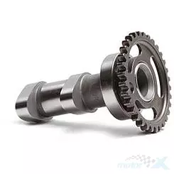 Nockenwelle, Einlass, Hot Cams 2203-2IN
