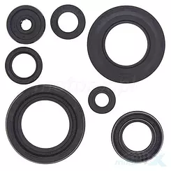 Motordichtungen komplett Vertex 822154