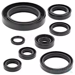 Motordichtungen komplettes Set Vertex 822110