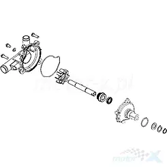 Komplette Wasserpumpe Kymco MXU / UXV
