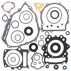 Motordichtungen komplett mit Vertex 811941 Dichtungen