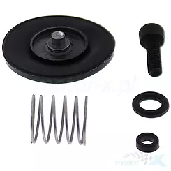 Vergaserbeschleunigerpumpen-Reparatursatz All Balls 46-3006