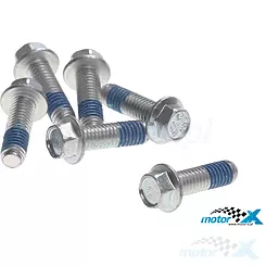 Schraube der Bremsscheibe, Kettenrad, M6x20, Derbi GP1 / GPR / Senda 50-125