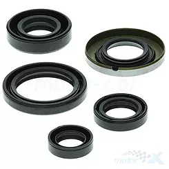 Motor Dichtungen Komplettset Vertex 822139