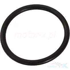 Thermostat-O-Ring 300 4T LC Voge 292, Loncin, Euro 5