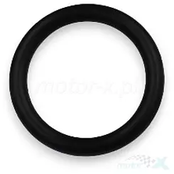 O-Ring QJMotor 169246600000