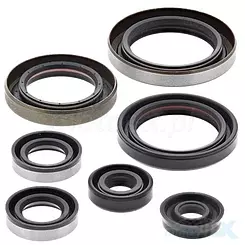 Motordichtungen Komplettset Vertex 822186